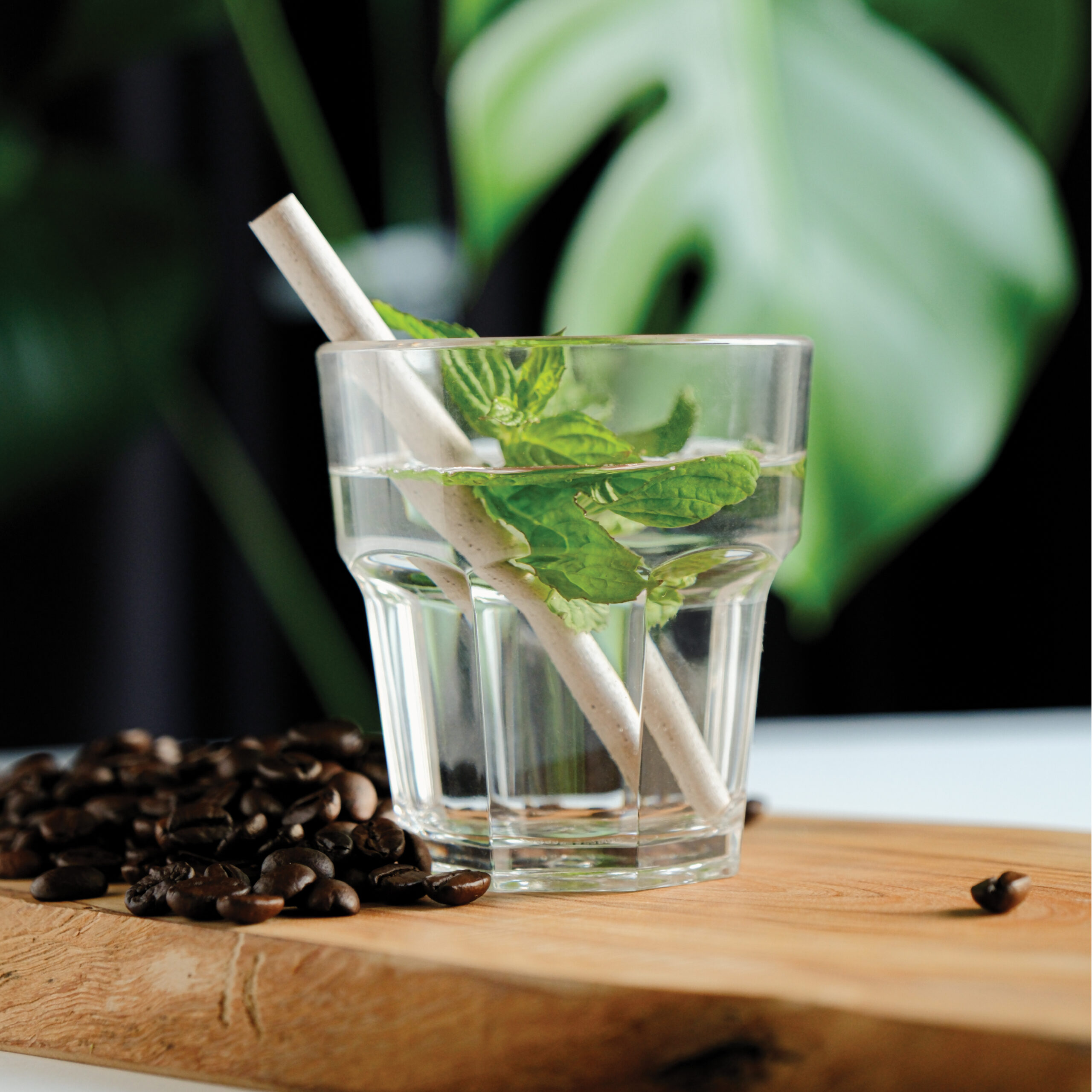 FP-CS-001 Wastespresso Bar Pipet 14x5 mm - Görsel 2